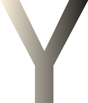 Y